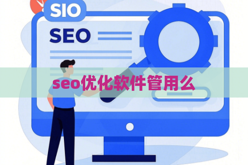 seo优化软件管用么