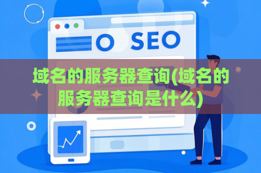 域名的服务器查询(域名的服务器查询是什么)